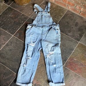 Wild Fable Light Blue Distressed Overalls